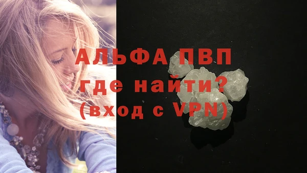 PSILOCYBIN Верея