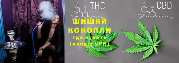 PSILOCYBIN Верея