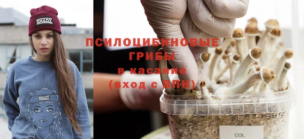 герыч Верхний Тагил