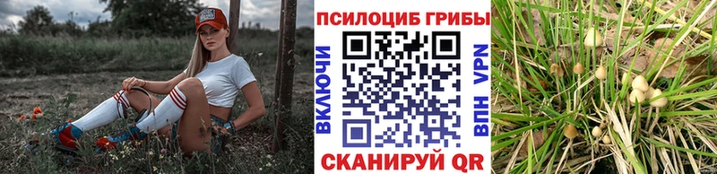наркота Славянск-на-Кубани KRAKEN маркетплейс Галлюциногенные грибы MAGIC MUSHROOMS